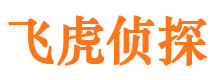 港北市调查公司